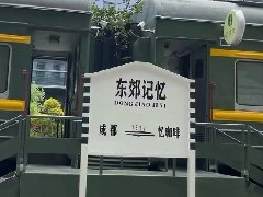 羅強副省長在成都東郊記憶調研文旅項目